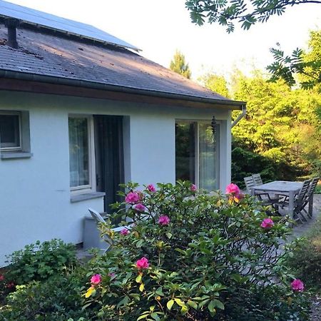 Villa Des Grues A Filly Houffalize Ngoại thất bức ảnh